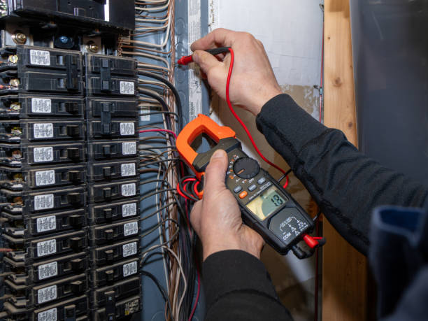 Best Electric Panel Repair  in Harrison, WI